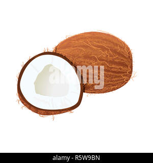 Mature succosa coconut isolato su bianco. Intero e metà Foto Stock