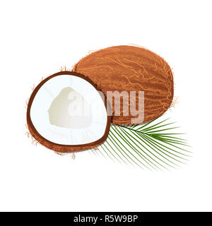 Mature succosa noce di cocco con foglie isolato su bianco. Intero e metà Foto Stock