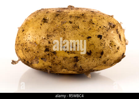 Patate sporche isolati su sfondo bianco. Foto Stock