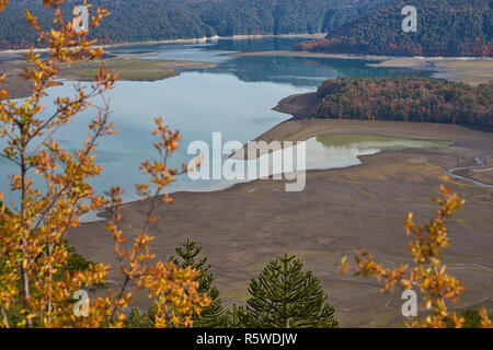 Conguillio parco nazionale nel sud del Cile. Lago di Lago Conguillio circondato da alberi d'autunno. Foto Stock