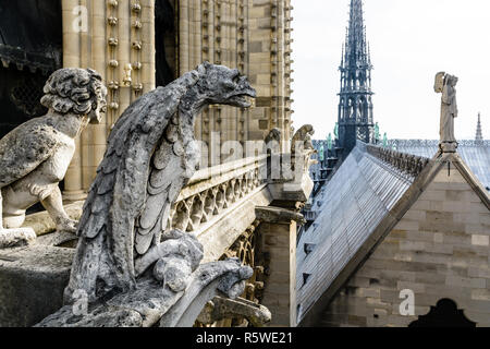 Statue di pietra di chimere che si affaccia sulla terrazza sul tetto e il campanile della cattedrale di Notre Dame de Paris cathedral dalle torri gallery. Foto Stock