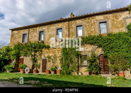 Casa coperta di edera, Civita di Bagnoreggio, Umbria, Italia Foto Stock