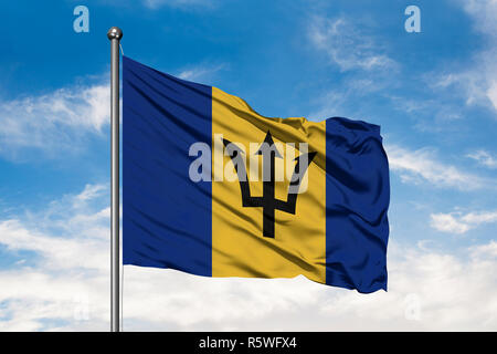 Bandiera di Barbados sventolare nel vento contro bianco torbido cielo blu. Bandiera delle Barbados. Foto Stock