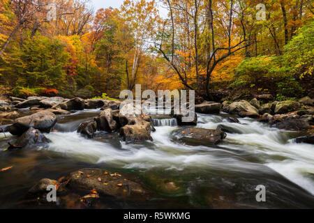 Correndo acqua attraverso il Rock Creek Park nel cuore di Washington, DC durante il picco di caduta delle foglie colore Foto Stock
