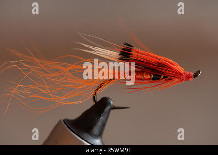 Salmone classico wet fly Foto Stock