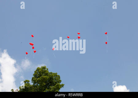 Cuore rosso palloncini volare nel cielo blu Foto Stock