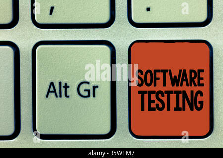 Parola di scrittura di testo Test del Software. Il concetto di business per le indagini forniscono informazioni circa la qualità di essa. Foto Stock