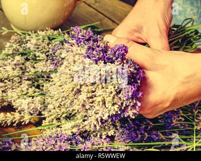 Ragazza preparare aromatici di erbe officinali per camere da letto. Bel mazzo di lavanda fresca (Lavandula angustifolia) Foto Stock