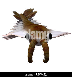 Cambrian Anomalocaris Foto Stock