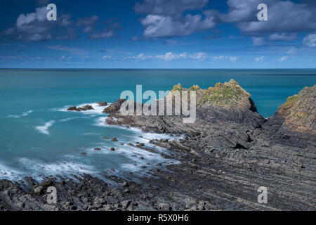 Bella e resistente da North Devon costa al Hartland Quay lungo la costa sud occidentale il percorso Foto Stock