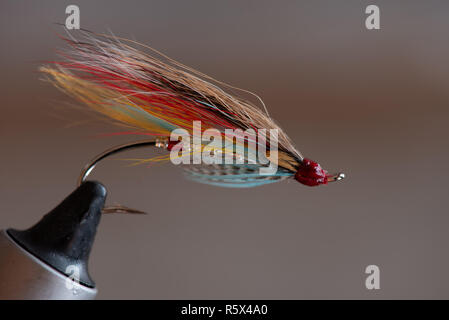 Salmone classico wet fly Foto Stock