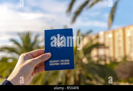 Giovane donna ucraina holding Travel Passport. Big Palm tree sullo sfondo. Blue sky. Foto Stock
