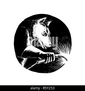 Dingo cane Scratchboard saldatore Foto Stock