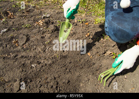 Donna che lavorano nel vostro giardino - preparare il terreno per letti in rilievo Foto Stock