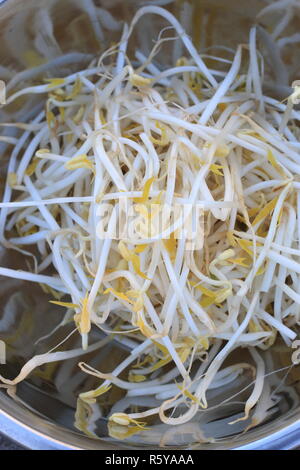 Close up di fresco Mung bean i germogli in ciotola di acciaio inossidabile su sfondo di legno Foto Stock