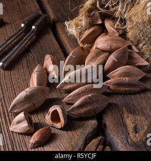 Canarium ovatum,comunemente noto come pili è una specie di alberi tropicali Foto Stock