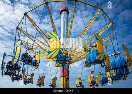 Hong Kong Cina , Nov 29, 2018: Le persone sono così entusiasti di pedalare su uccello vorticosamente a Ocean Park Hong Kong. Ocean Park è uno dei più famosi parchi a tema Foto Stock