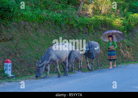 Agricoltore vietnamita nel countrside vicino ha Giang Vietnam Foto Stock