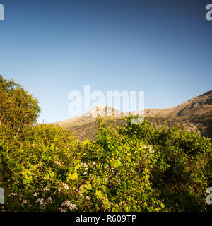 Pinnacle nella sierra de las Nieves in Andalusia Foto Stock