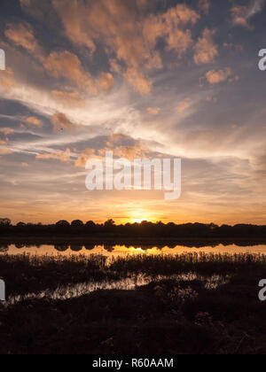 Incredibile bright raccolto autunnale tramonto scena oltre il lago di acqua riflessione silhouette reed Foto Stock