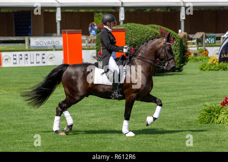 BRIDGEHAMPTON, NY - 26 agosto: atmosfera a Hampton Classic Horse Show motivi su agosto 26, 2018 in Bridgehampton, New York. (Foto di Steve Mack/S.D. Mack foto per Ergun Khorchin) Foto Stock