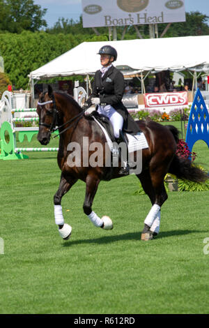 BRIDGEHAMPTON, NY - 26 agosto: atmosfera a Hampton Classic Horse Show motivi su agosto 26, 2018 in Bridgehampton, New York. (Foto di Steve Mack/S.D. Mack foto per Ergun Khorchin) Foto Stock