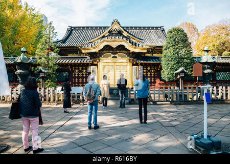 Il Santuario Toshogu con acero in autunno presso il parco Ueno a Tokyo in Giappone Foto Stock