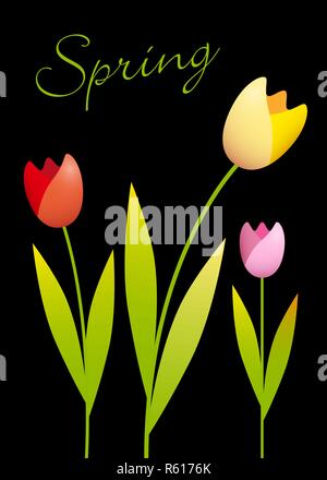 Tre tulipani colorati su sfondo nero Illustrazione Vettoriale