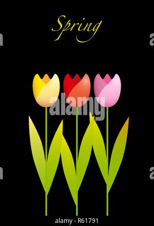 Tre tulipani colorati su sfondo nero Illustrazione Vettoriale