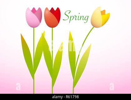 Tre tulipani colorati su un sfondo di primavera Illustrazione Vettoriale