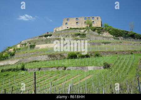 Le rovine del castello di staufen im Breisgau Foto Stock