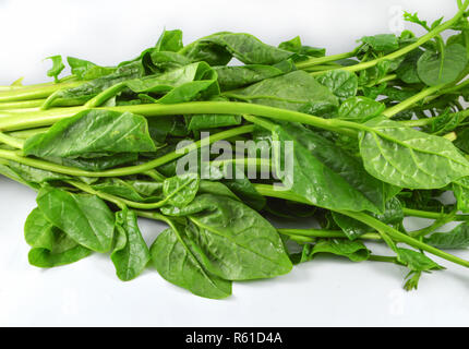 Malabar isolato di spinaci freschi / verdura verde del Malabar spinaci o ceylon spinaci isolati su sfondo bianco Foto Stock