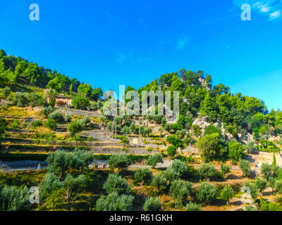 Campagna idilliaca sulla Palma de Mallorca, Spagna Foto Stock