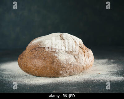 Tutta la pasta madre casalinga del pane di segale, copyspace Foto Stock