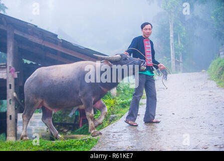 L uomo dalla Red Dao in minoranza in un villaggio vicino a Ha Giang in Vietnam Foto Stock