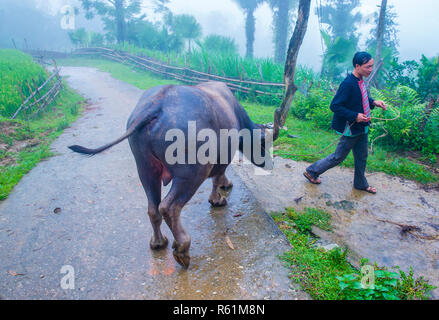 L uomo dalla Red Dao in minoranza in un villaggio vicino a Ha Giang in Vietnam Foto Stock