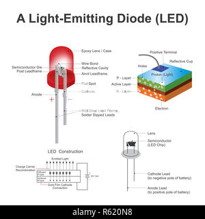 Diodo emettitore di luce (LED) struttura. Istruzione info vettore grafico. Foto Stock