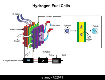 Celle a combustibile ad idrogeno schema. Foto Stock