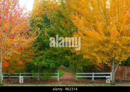 I colori dell'autunno all'entrata del parco nella zona suburbana Foto Stock