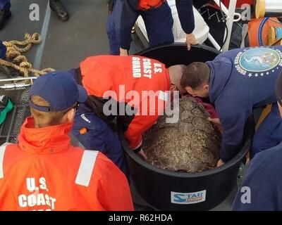 Il suo equipaggio a bordo di Guardacoste Heron lavorano insieme per sollevare una tartaruga marina al di fuori del suo contenitore di trasporto offshore Cape Henry, Virginia, nov. 18, 2018. L'equipaggio dell'Heron e membri del North Carolina Aquarium sull Isola Roanoke ha lavorato insieme alla release 14 riabilitato le tartarughe di mare in acque più calde. Foto Stock