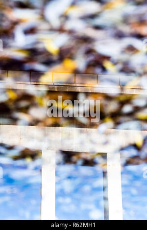 Ponte dell'autostrada specchiata in acqua in autunno, Berna, Svizzera Foto Stock