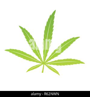 Verde foglia di cannabis isoladet su sfondo bianco illustrazione vettoriale EPS10 Illustrazione Vettoriale