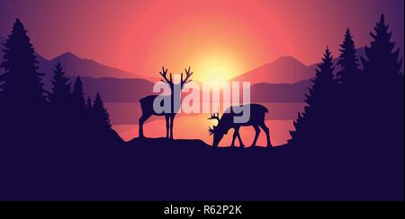 Due alci in fauna selvatica al bellissimo lago di montagna a sunrise illustrazione vettoriale EPS10 Illustrazione Vettoriale