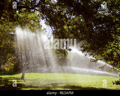 La luce del sole splende attraverso gli alberi ed acqua da un irroratore Foto Stock