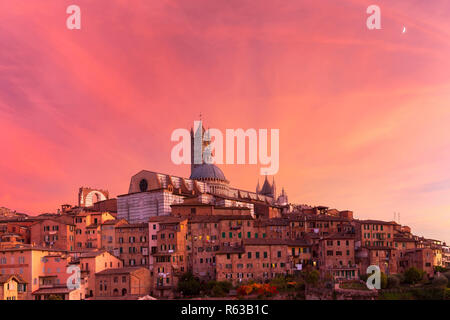 Duomo di Siena al meraviglioso tramonto, Toscana, Italia Foto Stock