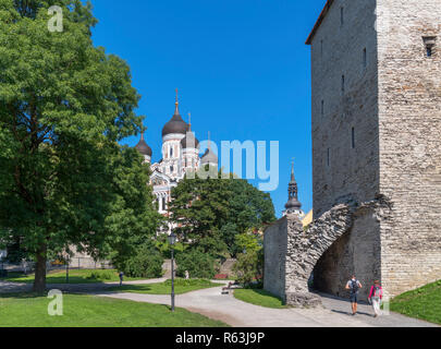 Parco Harjumägi guardando verso la Cattedrale Alexander Nevsky con Maiden Tower a destra, Old Town (Vanalinn), Tallinn, Estonia Foto Stock