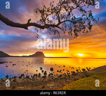 Un paesaggio fantastico. Vista di Le Morne Brabant al tramonto. Maurizio. Foto Stock