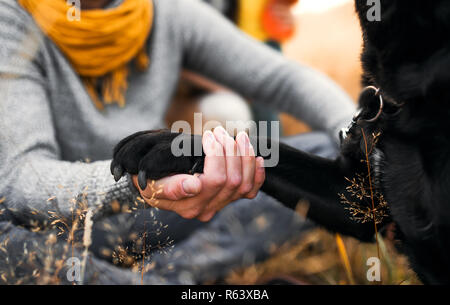 Una sezione mediana vista di un uomo con cane zampa in natura. Foto Stock