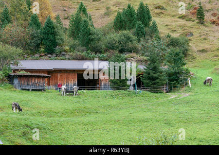 Telecomando in legno agriturismo nelle Alpi dello Stubai, Tirolo, Austria Foto Stock