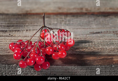 Il ramo del pallon di maggio Foto Stock